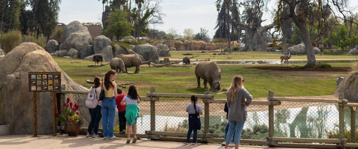 Celebración del Día de los Muertos en el Zoológico de&nbsp;Fresno